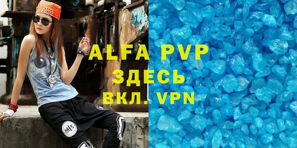 шишки Дмитриев