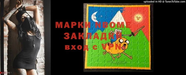 шишки Дмитриев