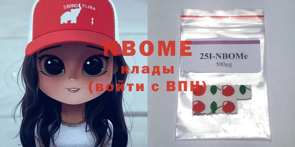 СК Ельня