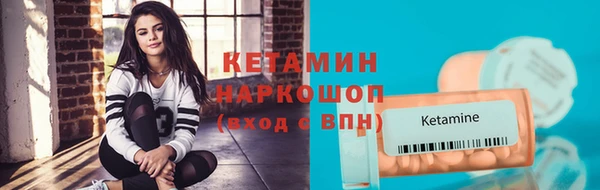СК Ельня