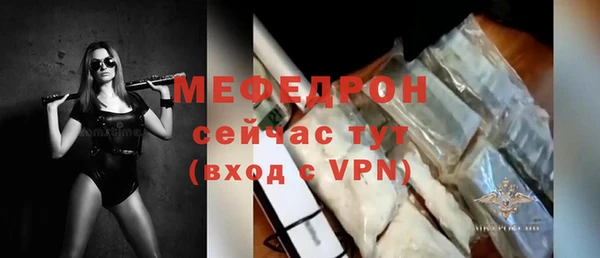 СК Ельня
