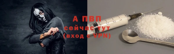 шишки Дмитриев
