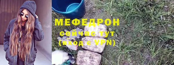 СК Ельня