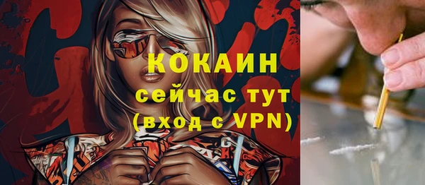 шишки Дмитриев
