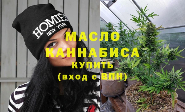 шишки Дмитриев