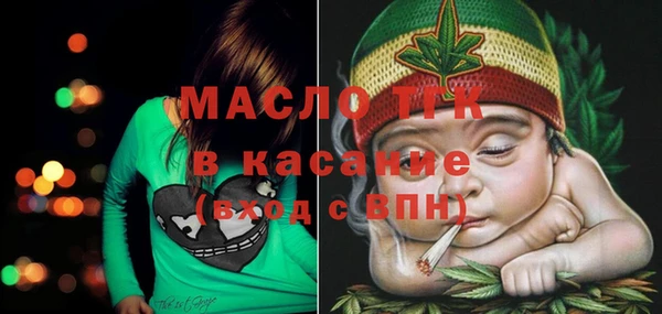 шишки Дмитриев