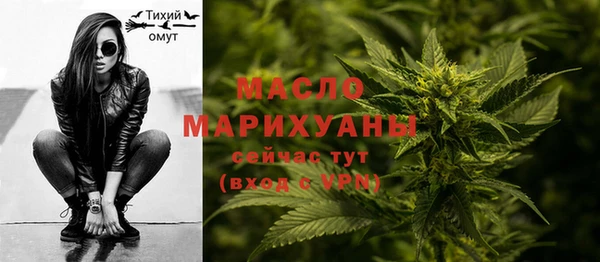 тгк Елизово