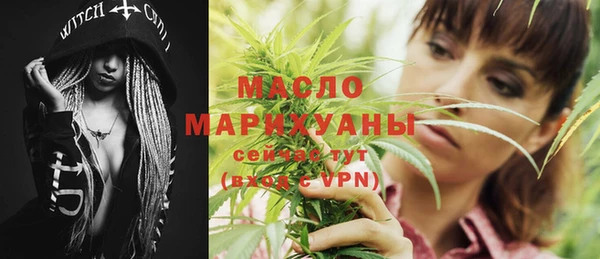 шишки Дмитриев