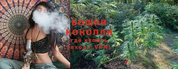 тгк Елизово