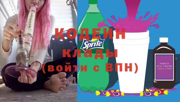 СК Ельня